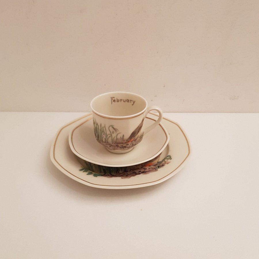 Heinrich Tyskland Villeroy  Boch Set med 1 tekopp/Kaffekopp med assiett januar