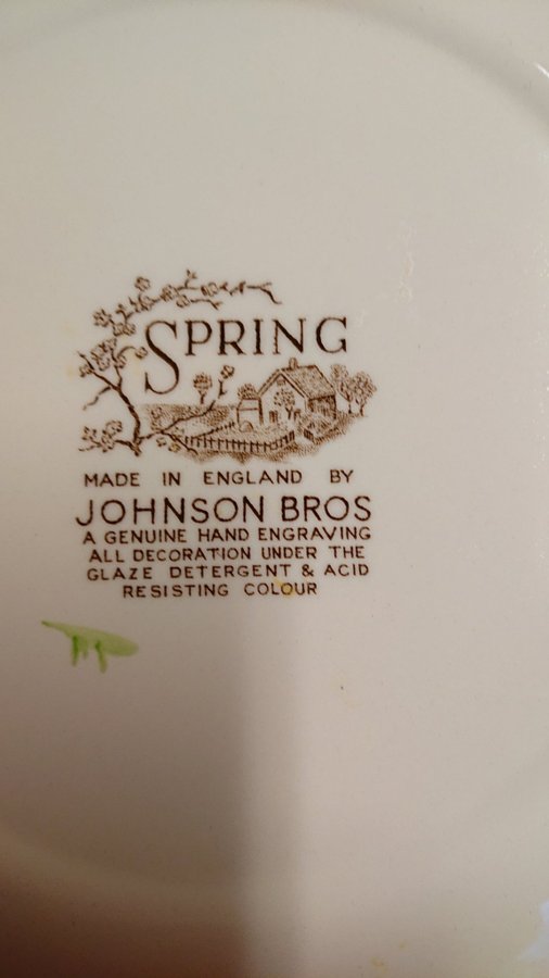 Johnson Bros Spring Tallrik