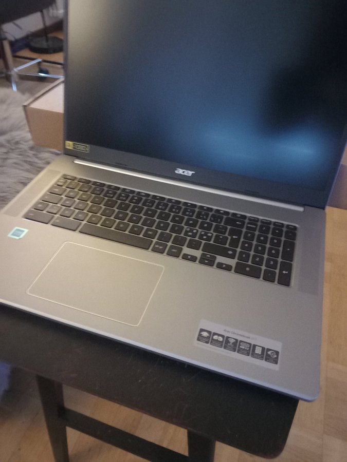 Acer Chromebook 317