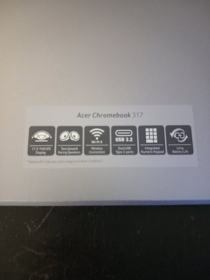 Acer Chromebook 317