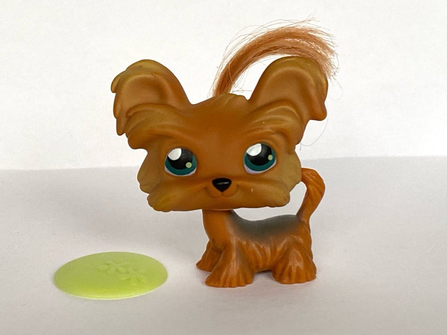 Hund, Yorkshireterrier - Littlest Pet Shop - Petshop, Petshops, Pet shops, Lps