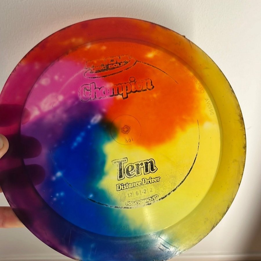 Innova Tern Champion