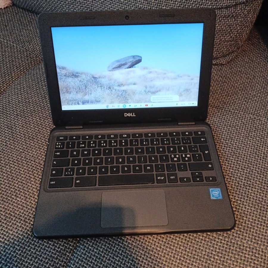 DELL Chromebook 3100