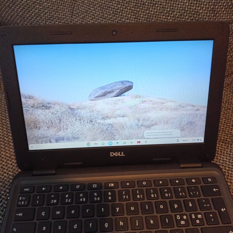 DELL Chromebook 3100