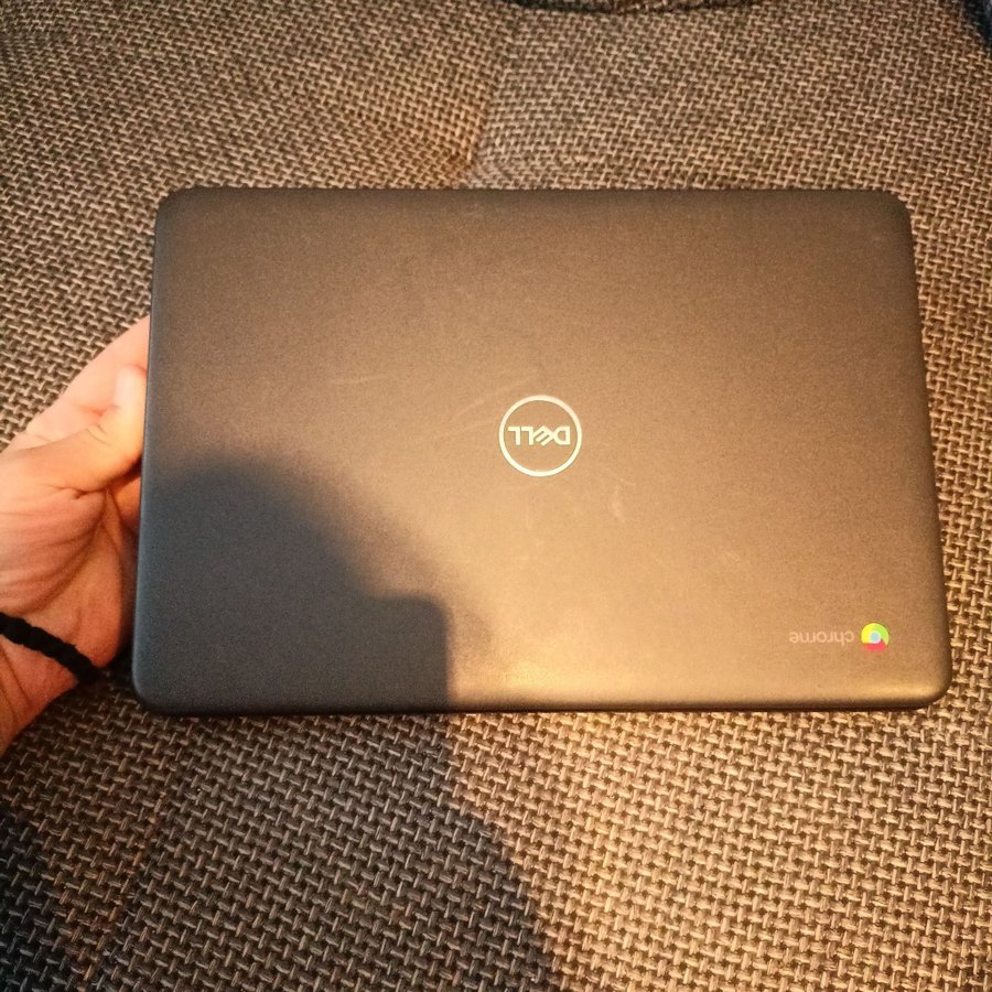 DELL Chromebook 3100