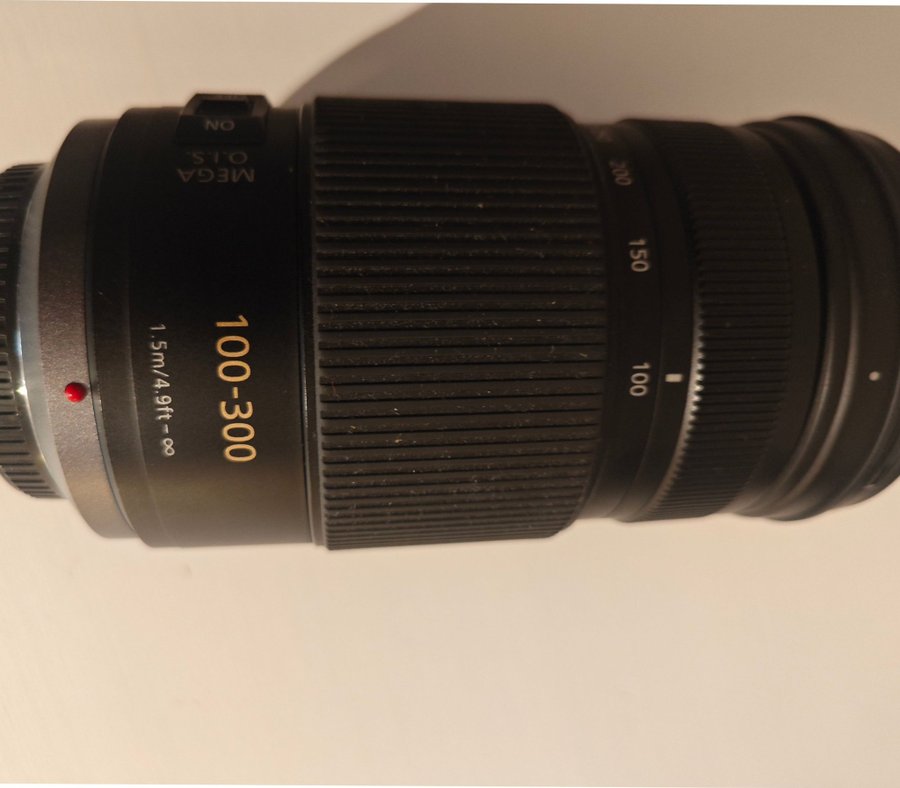 Panasonic Lumix G Vario 100-300mm F4-5.6 / MEGA O.I.S.