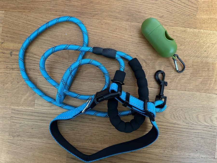 Nytt halsband och nytt koppel med reflex på båda