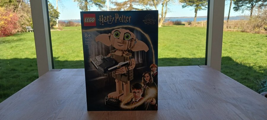 LEGO Harry Potter 76421 Dobby