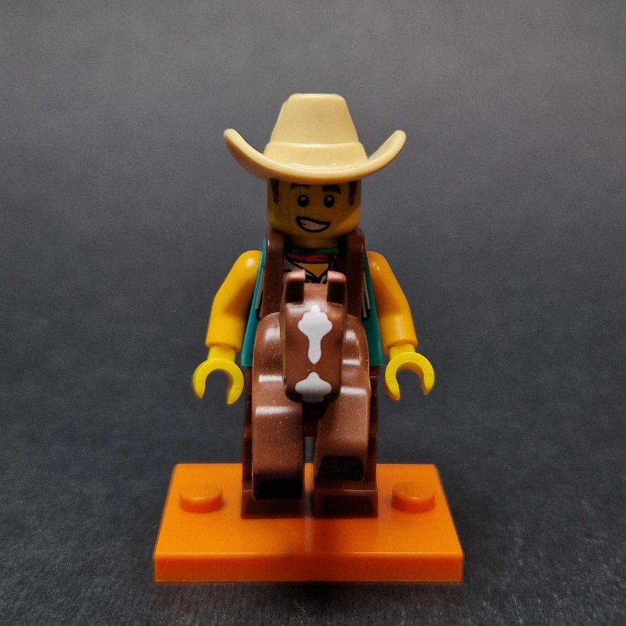 Lego Series 18 col18-15