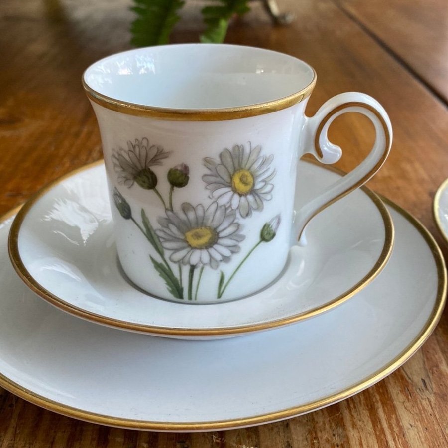 Bavaria Eschenbach Germany Svenska Landskapsblommor kaffekoppar assietter