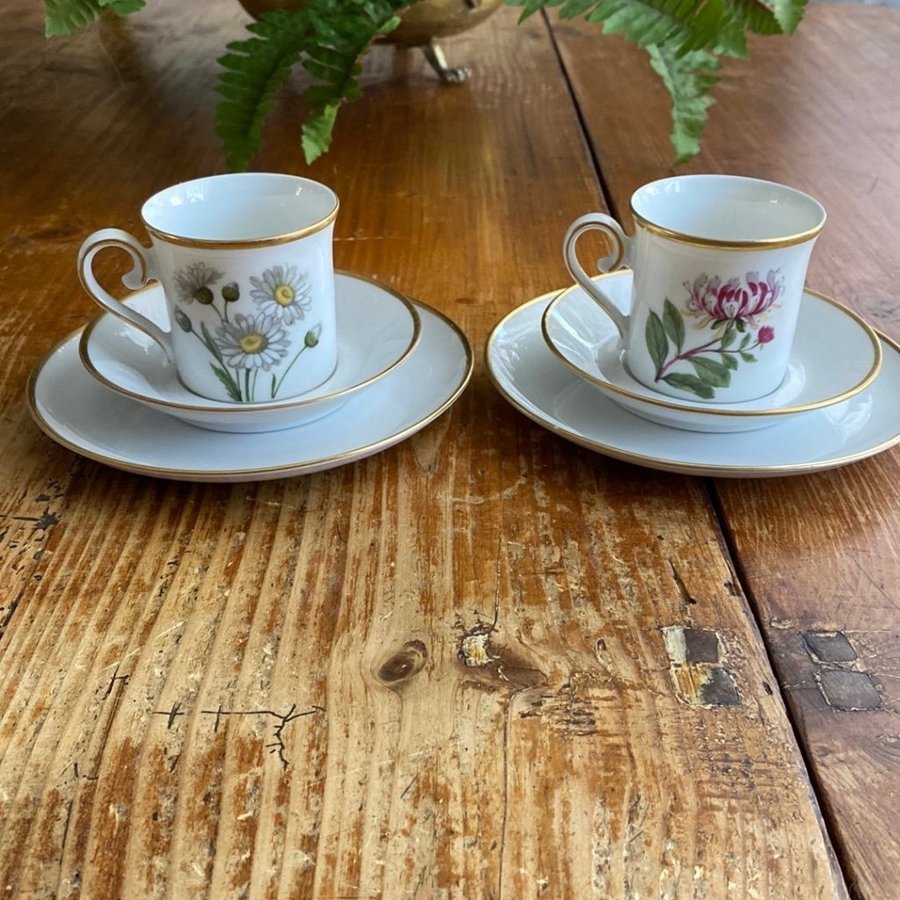 Bavaria Eschenbach Germany Svenska Landskapsblommor kaffekoppar assietter