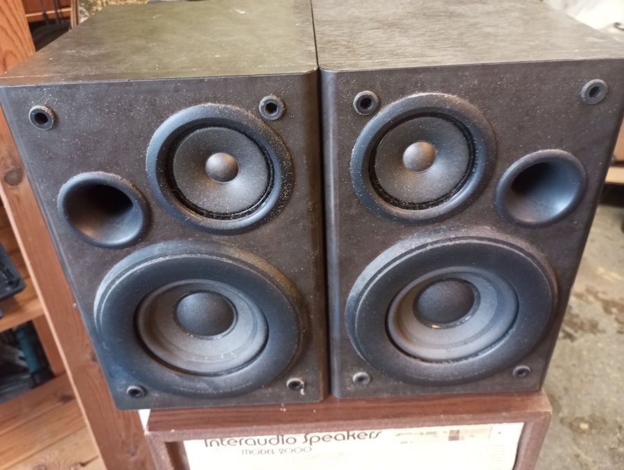 JVC Interaudio Speakers Model 2000