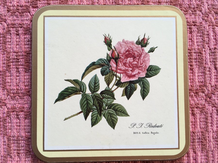 Redoute Rose pimpernel coasters Korkunderlägg med rosmotiv  Ca 75x75 cm