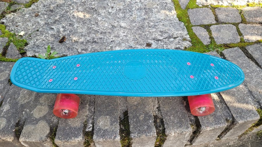 Skateboard "Cruiser"