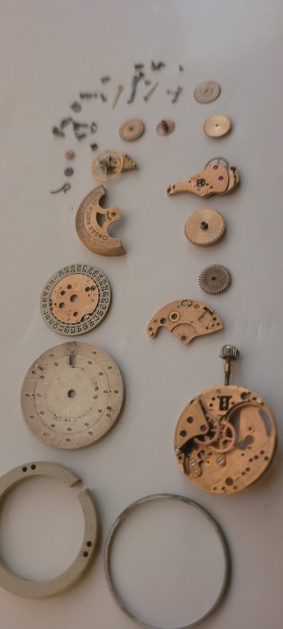 Omega Seamaster lady parts