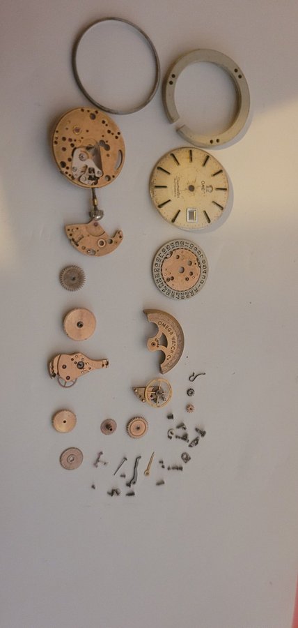 Omega Seamaster lady parts