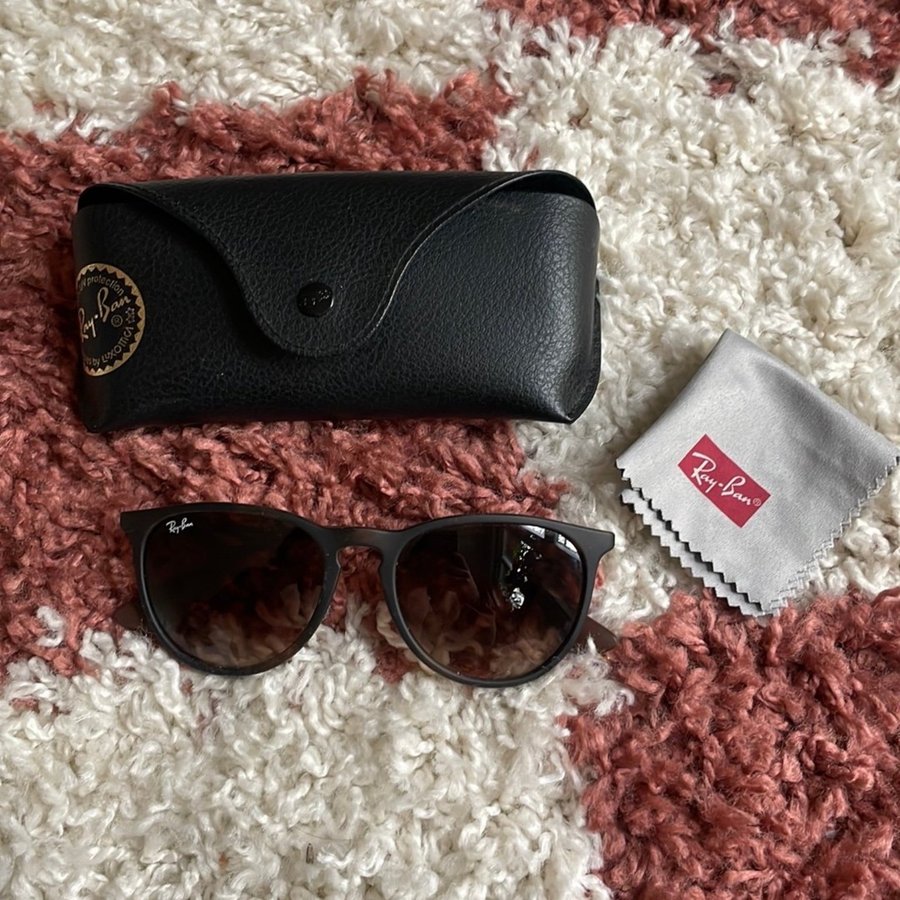 Ray-Ban Erika Solglasögon