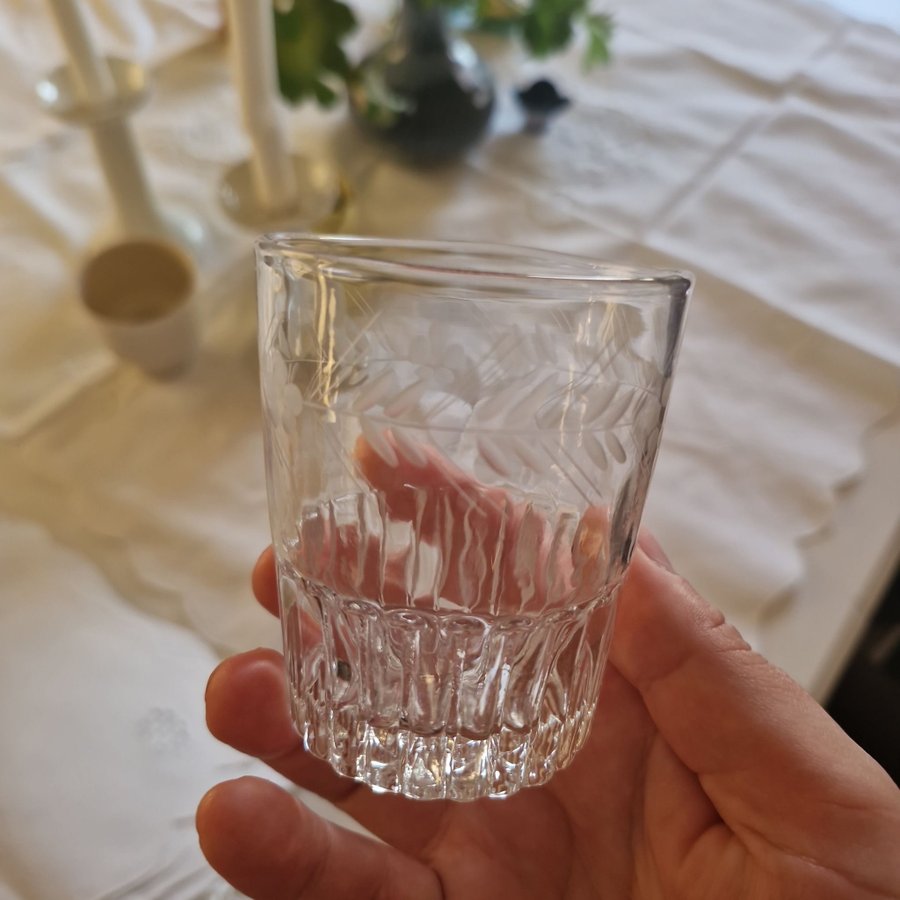 7st Selterglas möjligtvis cederbergs glasbruk 1800-talet