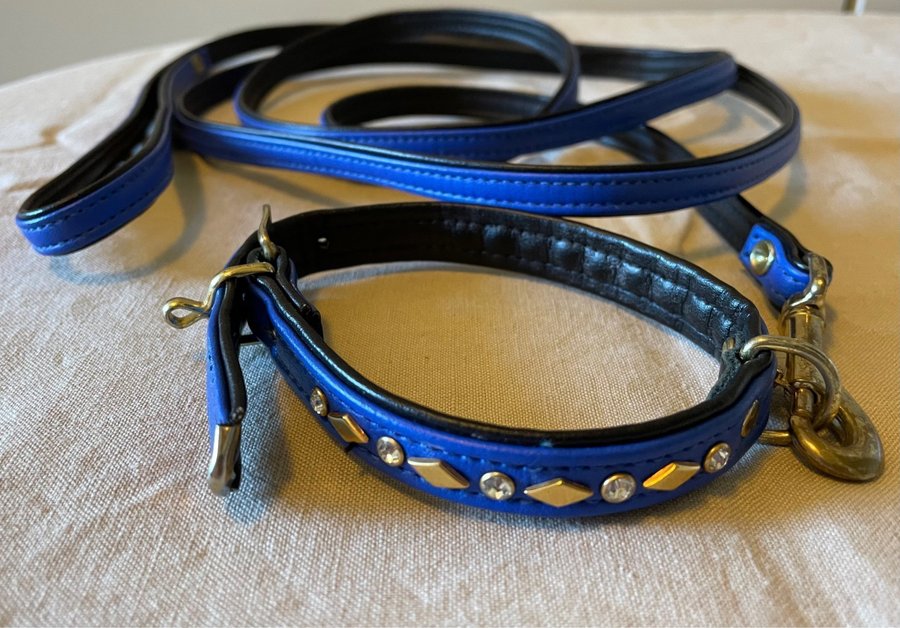 Koppel och halsband