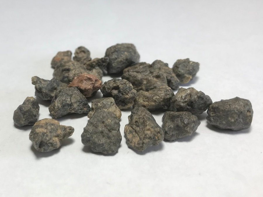 Månmeteorit - Bechar 003 - Lunar feldspar breccia - 24 små bitar - 20g