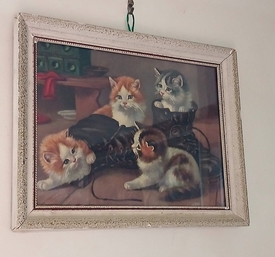 Vintage Tavla med Katter Inramad Kattbild