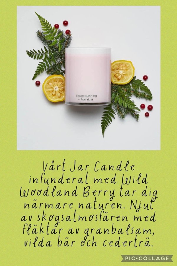 Partylite - Forest Bathing - Wild Woodland Berry 2-veks glasljus