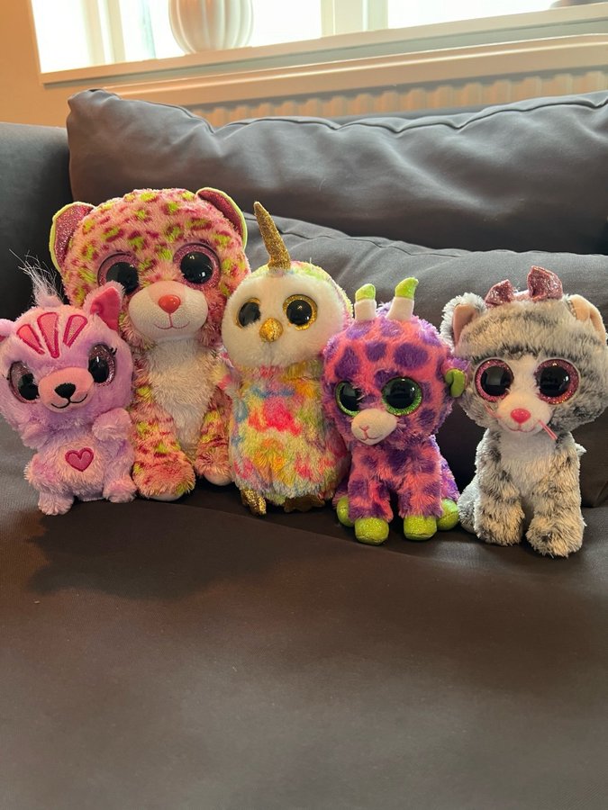 5 stycken Ty Beanie Boo plushies