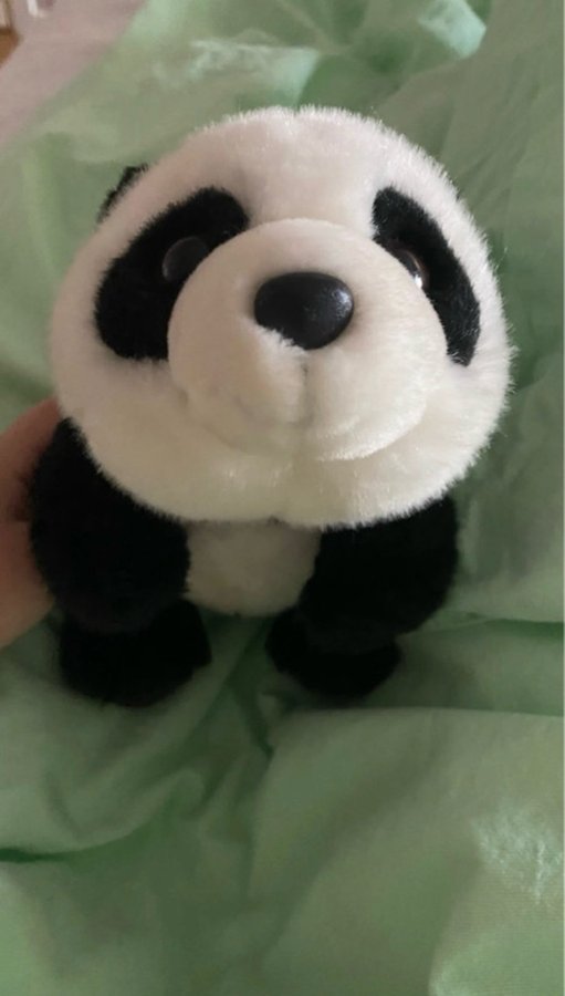 Gulligt Panda mjukisdjur