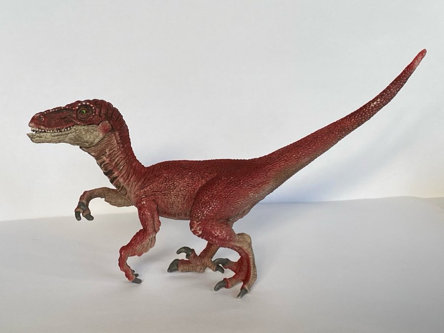 Dinosaurie, Velociraptor, Schleich, Djur, Figur