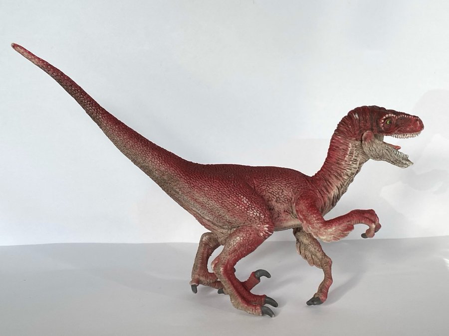 Dinosaurie, Velociraptor, Schleich, Djur, Figur