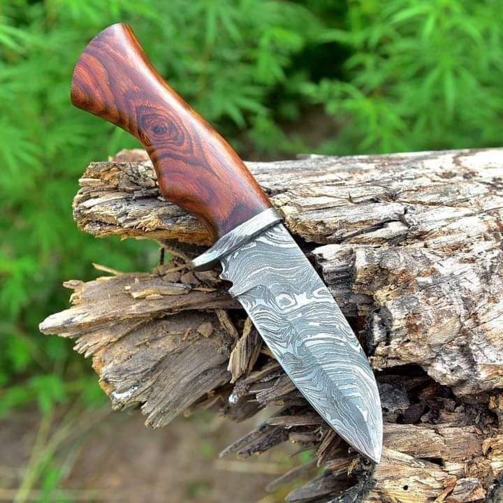 Damascus Steel Beautiful Hunting Knife Best Gift For Knife Lovers