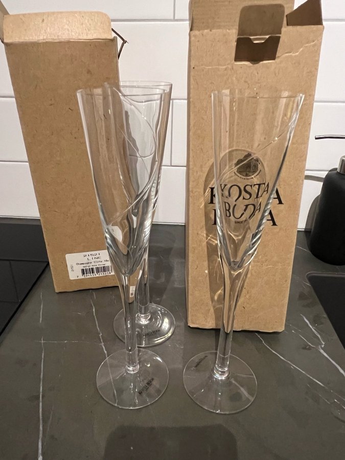 Kosta Boda Champagne Flute 21521 Line