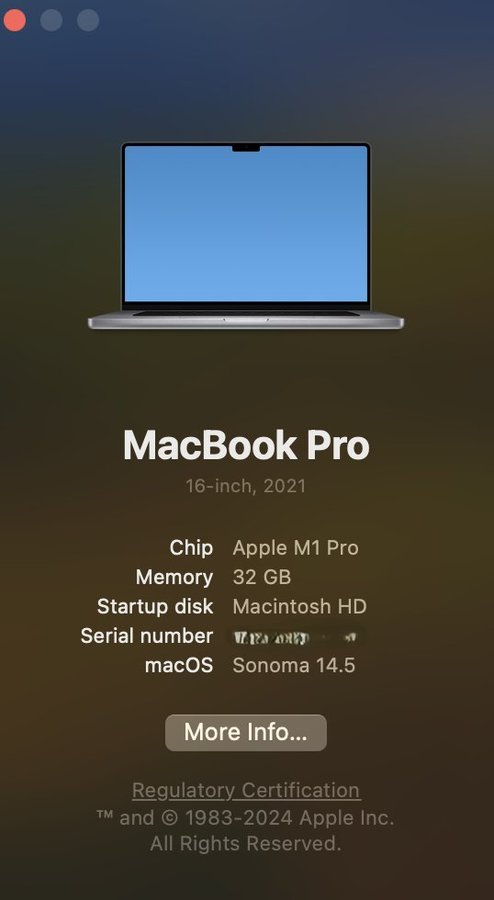 Mac Book Pro 16" - 2021 - M1 - 32GB RAM - 1TB SSD