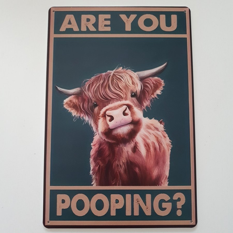 Ko, Are you pooping?