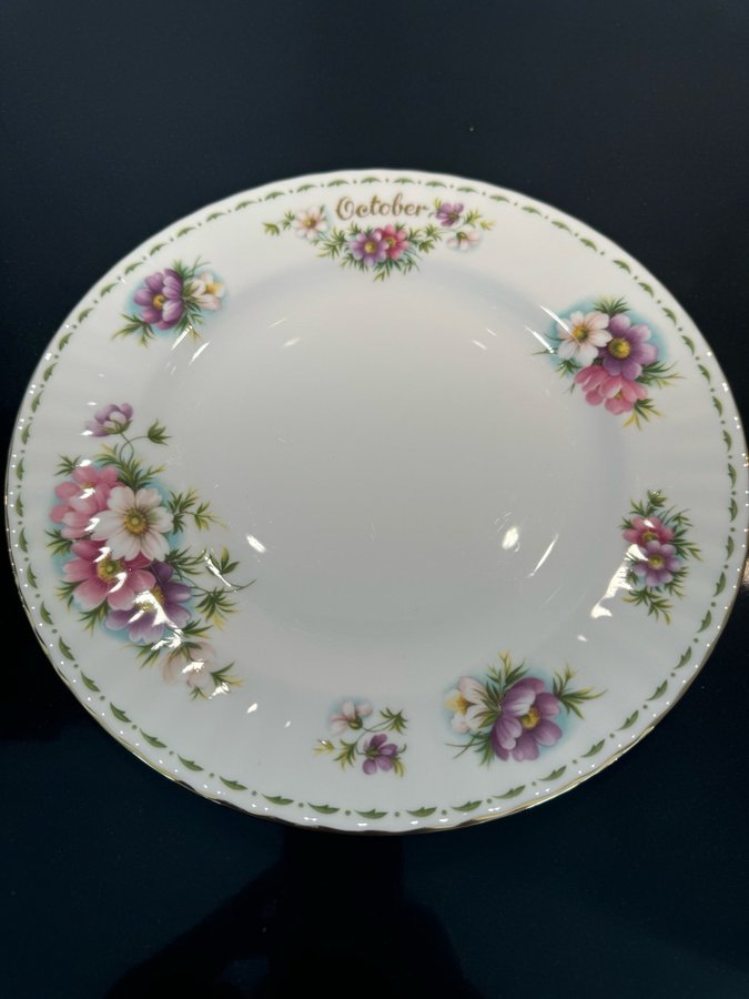 Månadsmattalrik 265cm ”October”Royal Albert Bone China 1970 ”Cosmos”