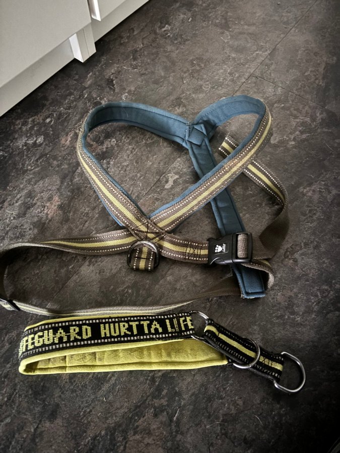 Hurtta Lifeguard sele och halsband stl 100  50