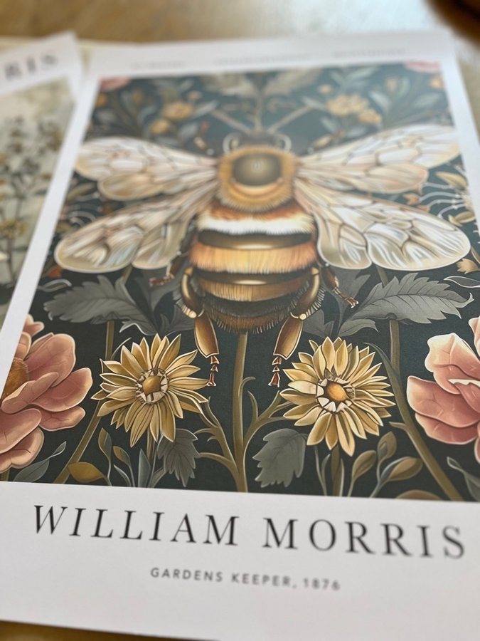 Poster A3 William Morris