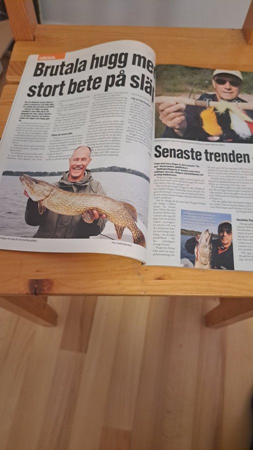 Fiske (Tidning)