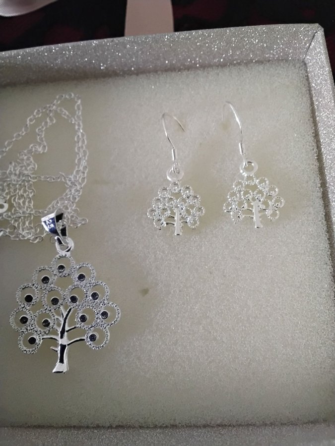 Set: Silverhalsband och örhängen sterling 925, silverpläterade 925 stämplade