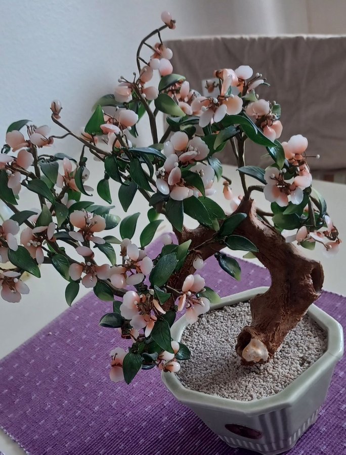 Glasblomma Bonsai