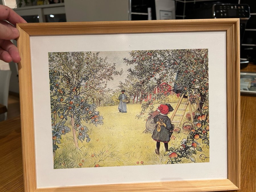 Tryck av Carl Larsson - Äppelskörden -