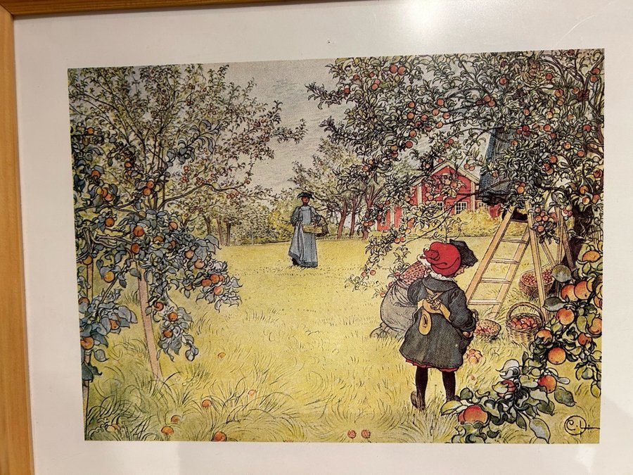 Tryck av Carl Larsson - Äppelskörden -