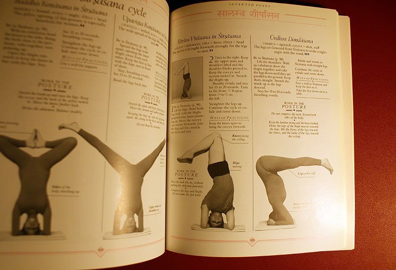 Yoga The Iyengar Way - Silva, Mira  Shyam Mehta