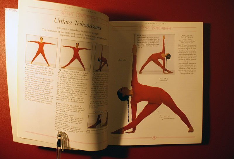 Yoga The Iyengar Way - Silva, Mira  Shyam Mehta