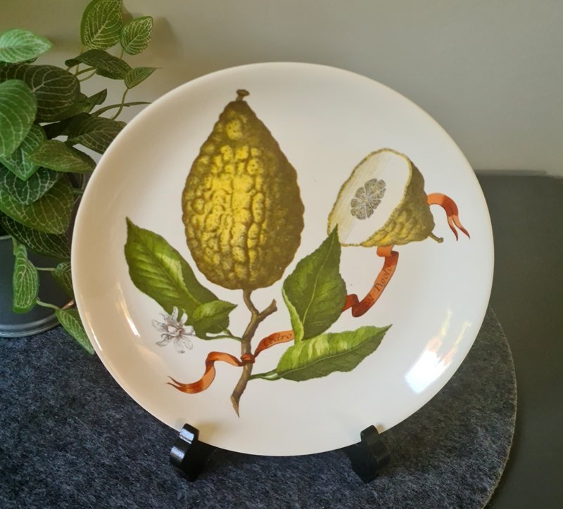 Villeroy  Boch 6 tallrikar/assietter med fruktmotiv nyskick