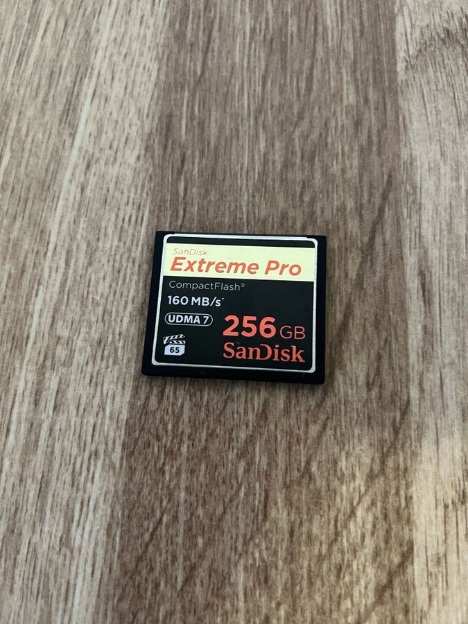 SanDisk Compact Flash 256GB