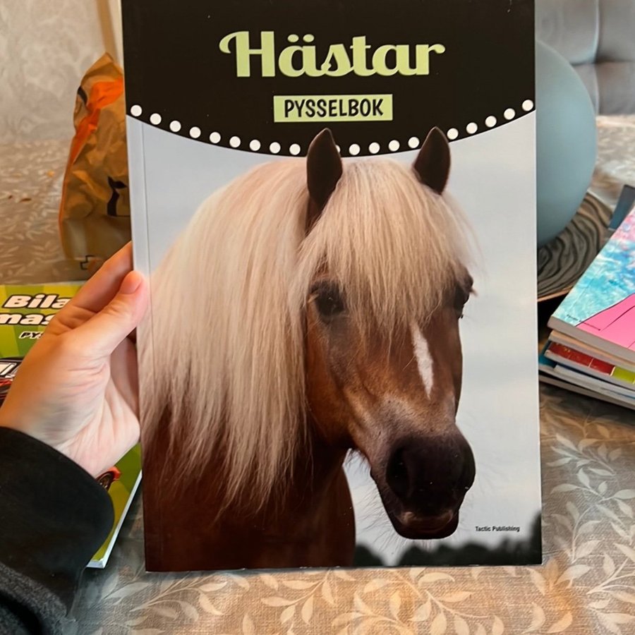 Hästar: pysselbok