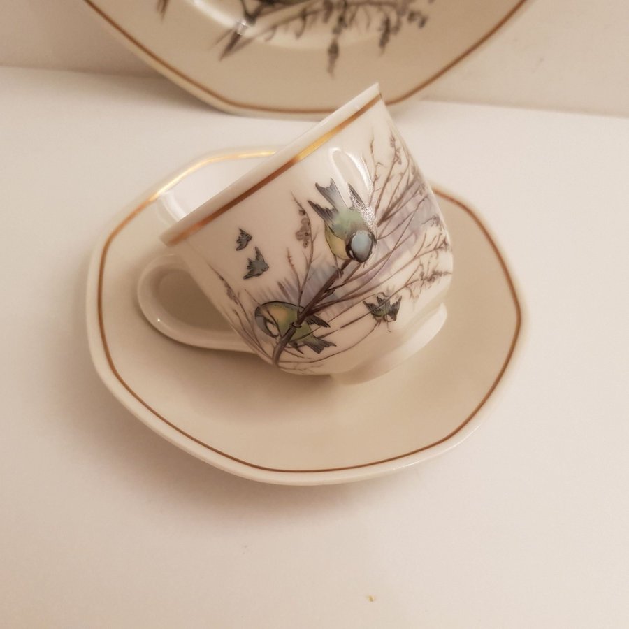 Heinrich Tyskland Villeroy  Boch Set med 1 tekopp/Kaffekopp med assiett.