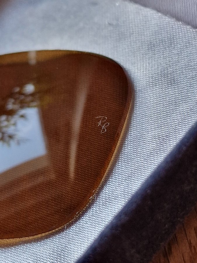 Nya glas till Ray-Ban Solglasögon model Wayfarer Brunt glas