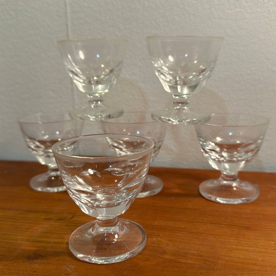 6 st Glas likör glas